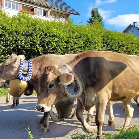 Daheim Nr 3 - Suedwesterhaus Allgaeu * Oberstaufen